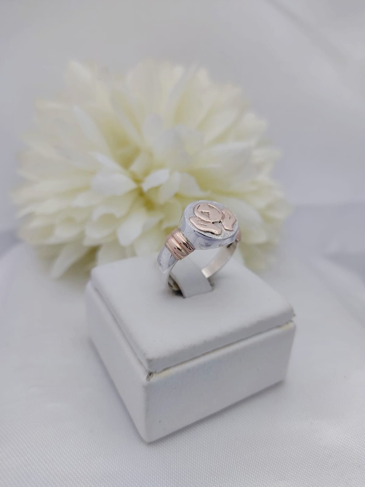 Anillo Profesión Psicomotricista
