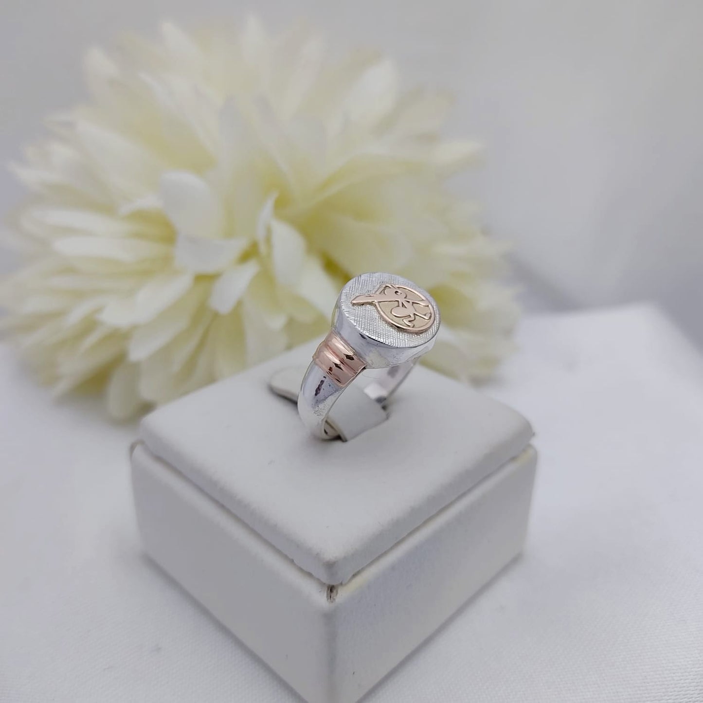 Anillos Profesión Primera Infancia