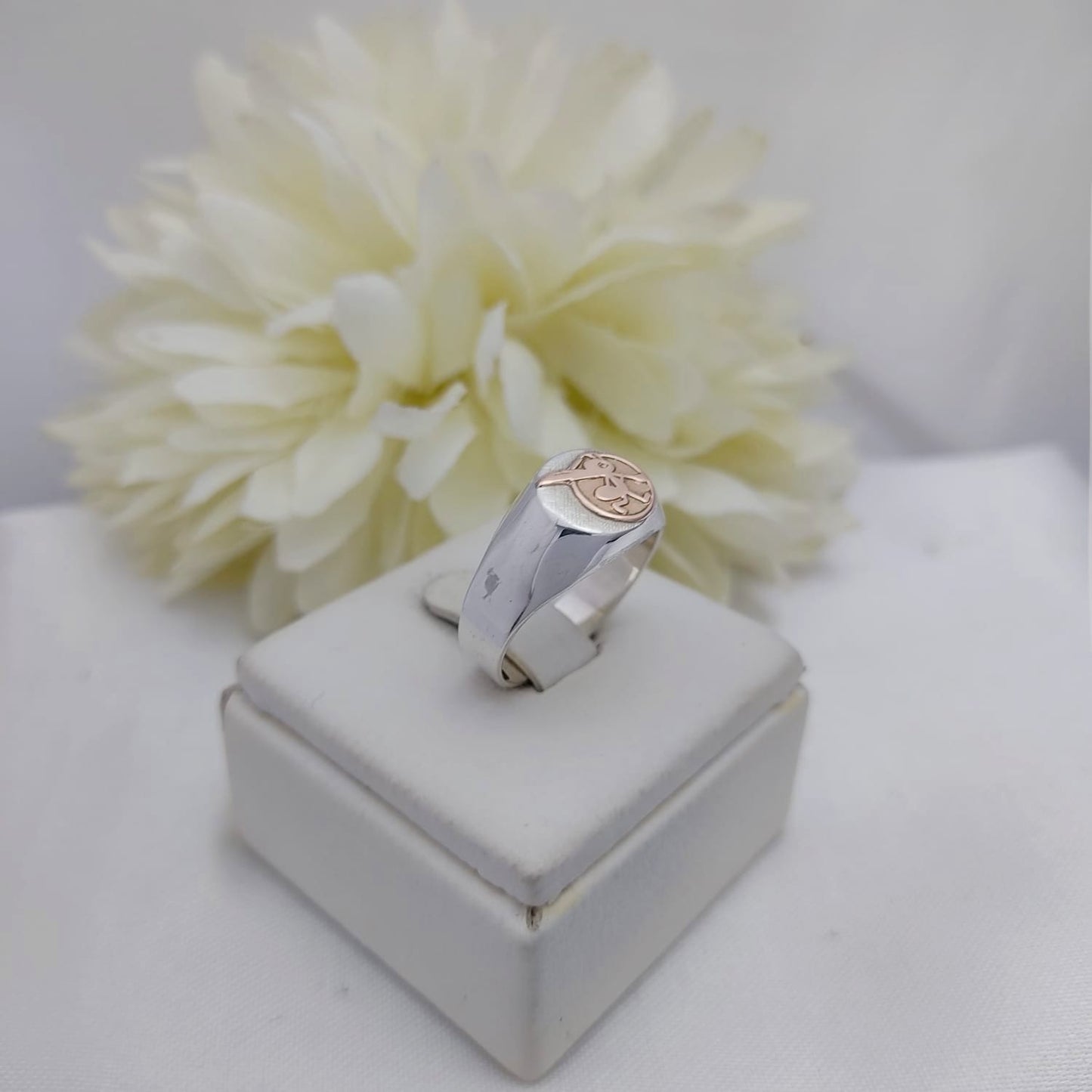 Anillos Profesión Primera Infancia