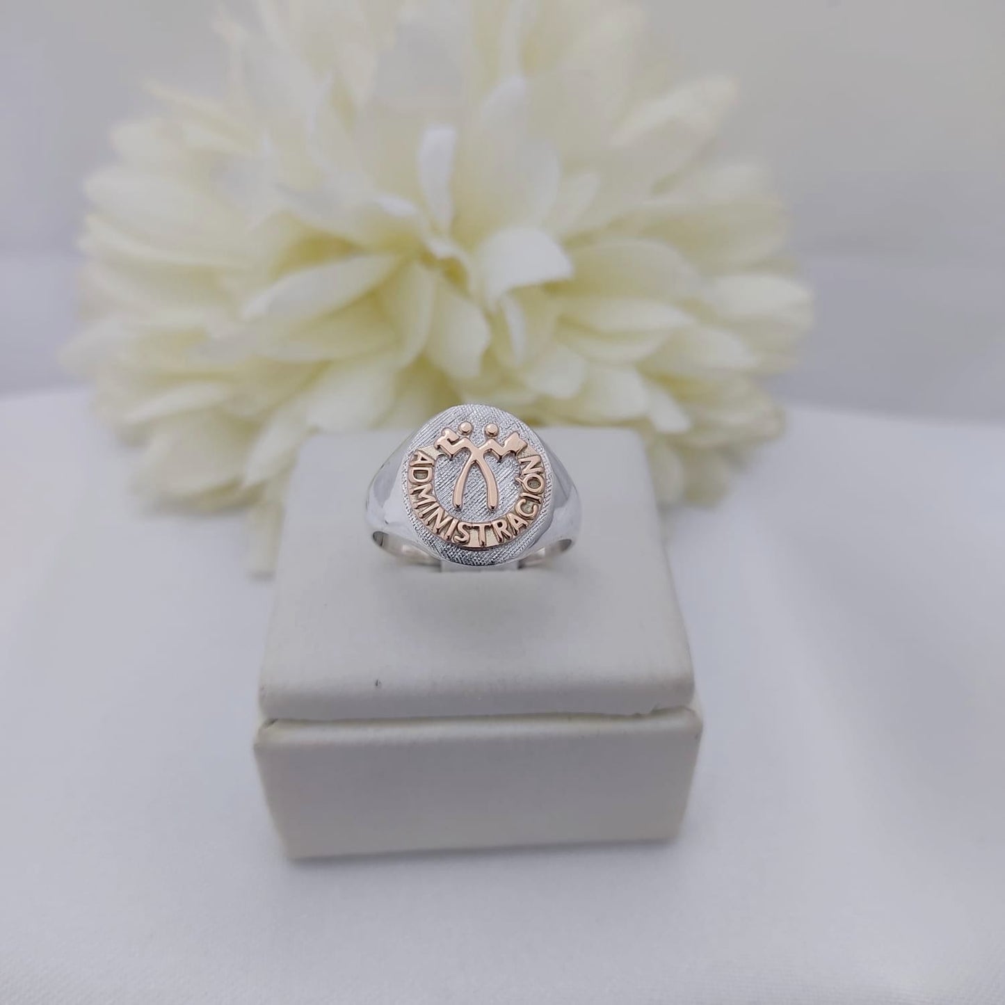 Anillos Profesión Administración