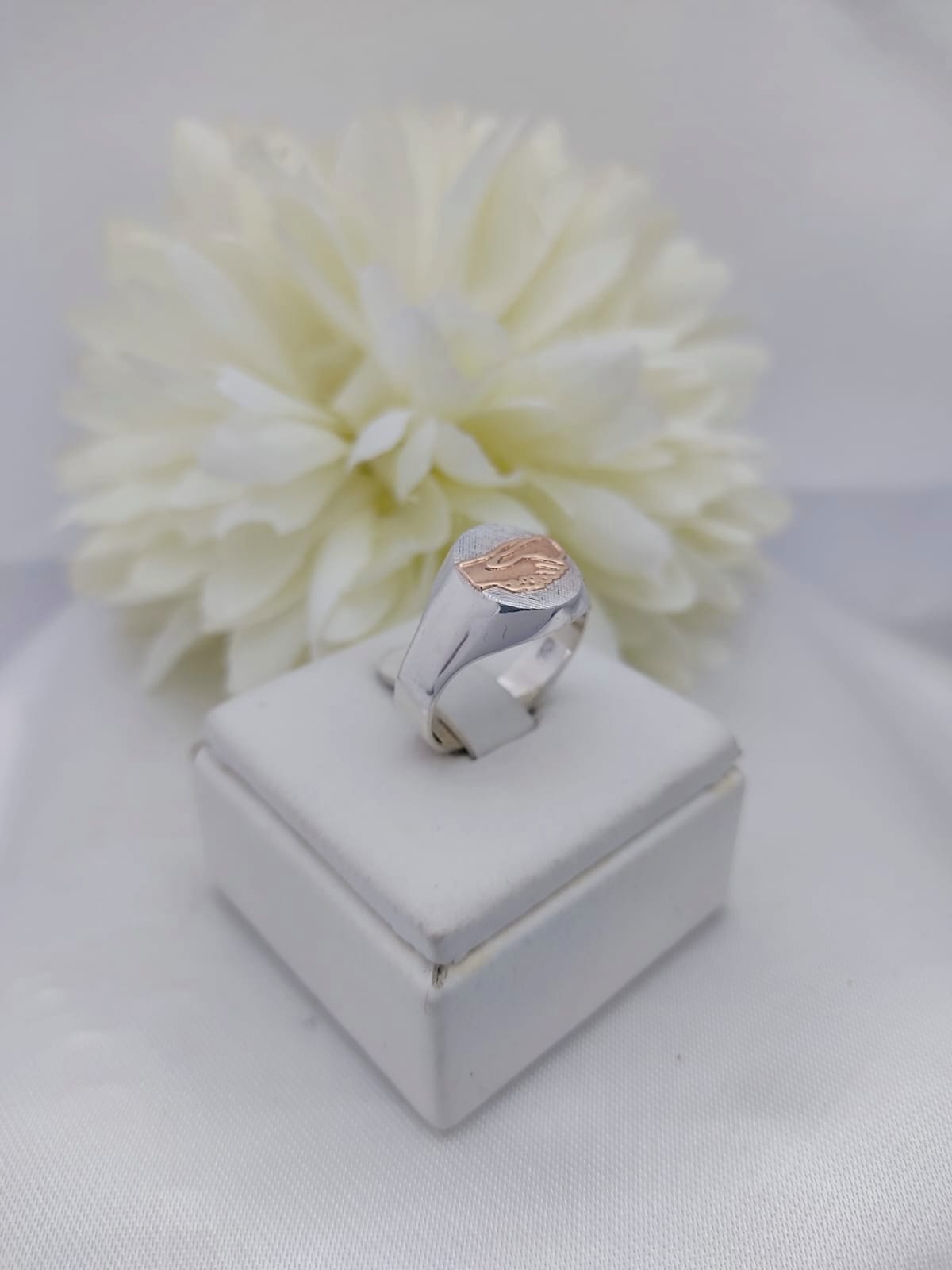 Anillo Profesión Asistente Social
