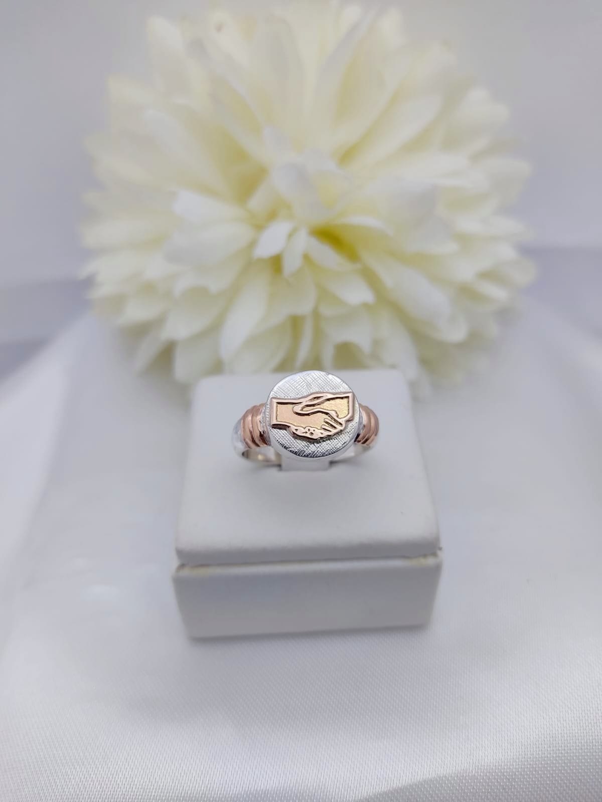 Anillo Profesión Asistente Social