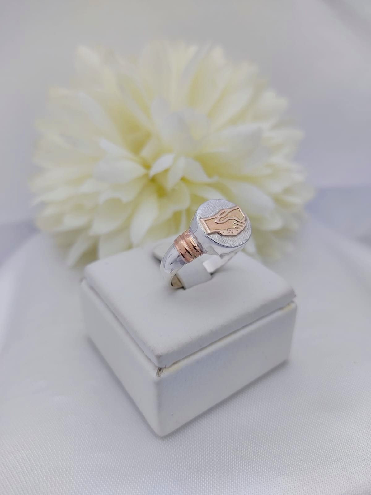 Anillo Profesión Asistente Social