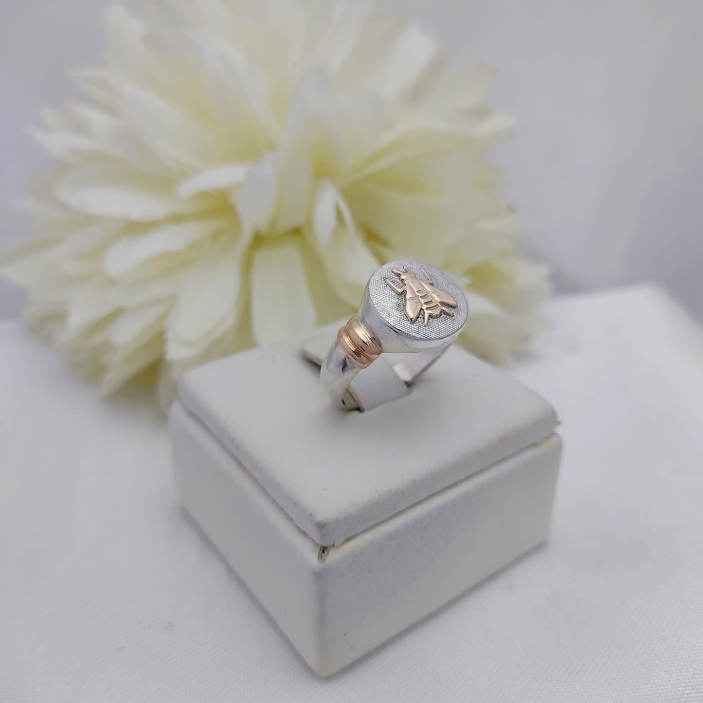 Anillo Profesión Magisterio Logo Clásico