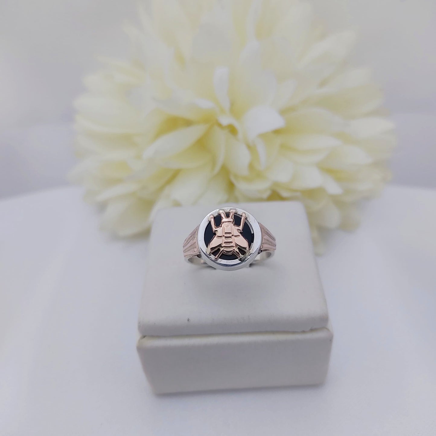 Anillo Profesión Magisterio Logo Clásico