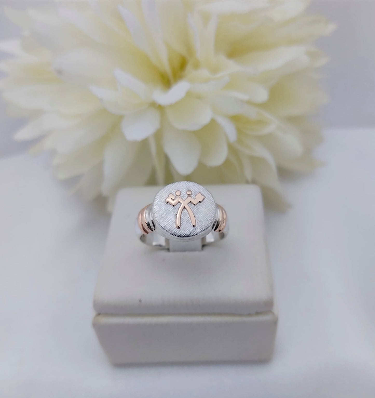 Anillos Profesión Administración