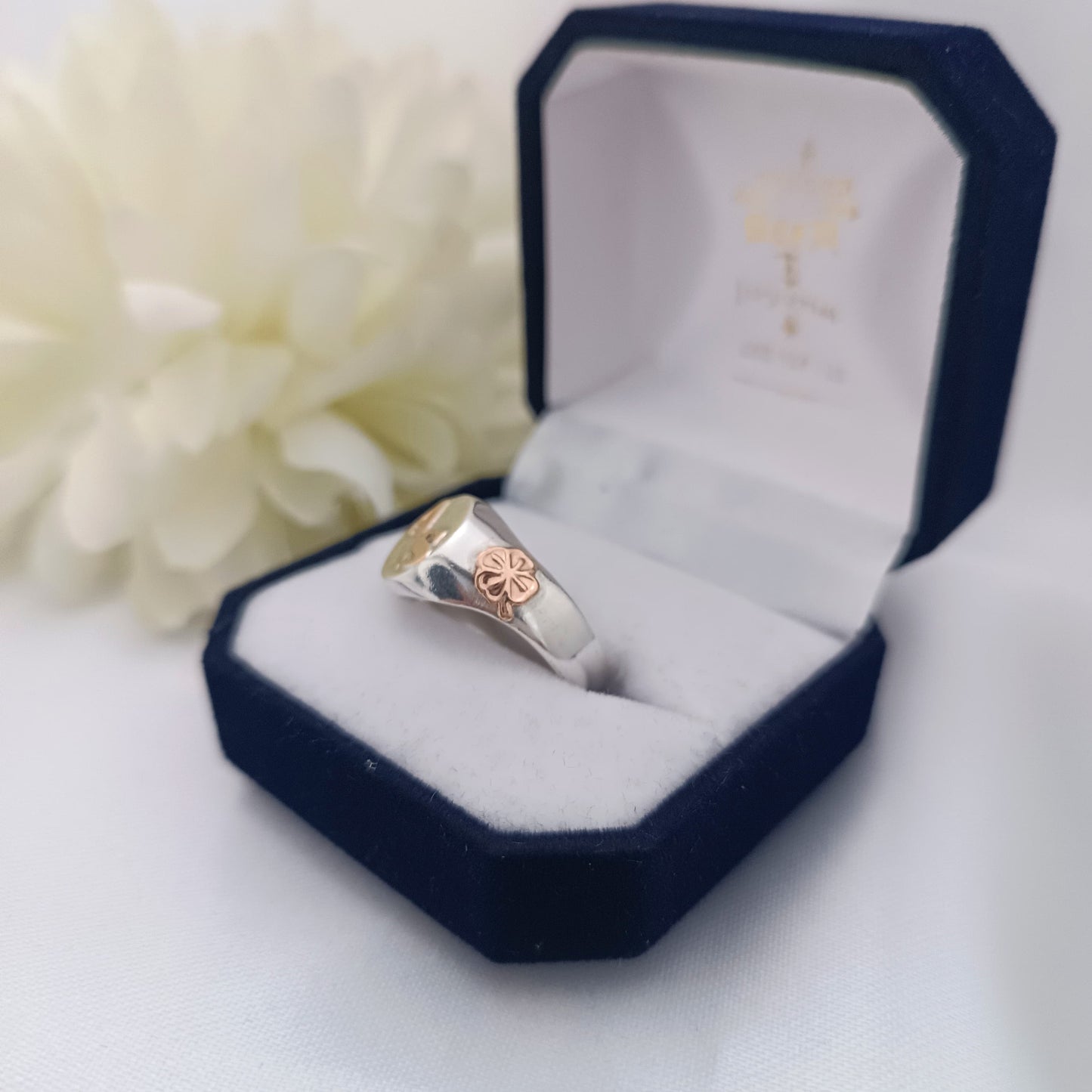 Anillos Iniciales Dama