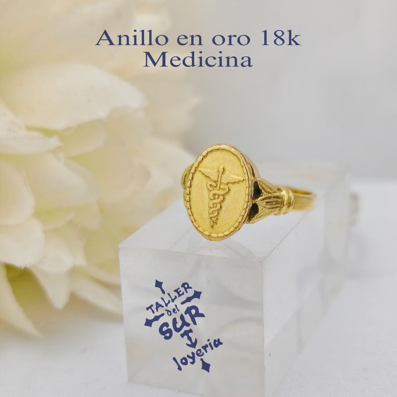 Anillos en Oro de Profesión