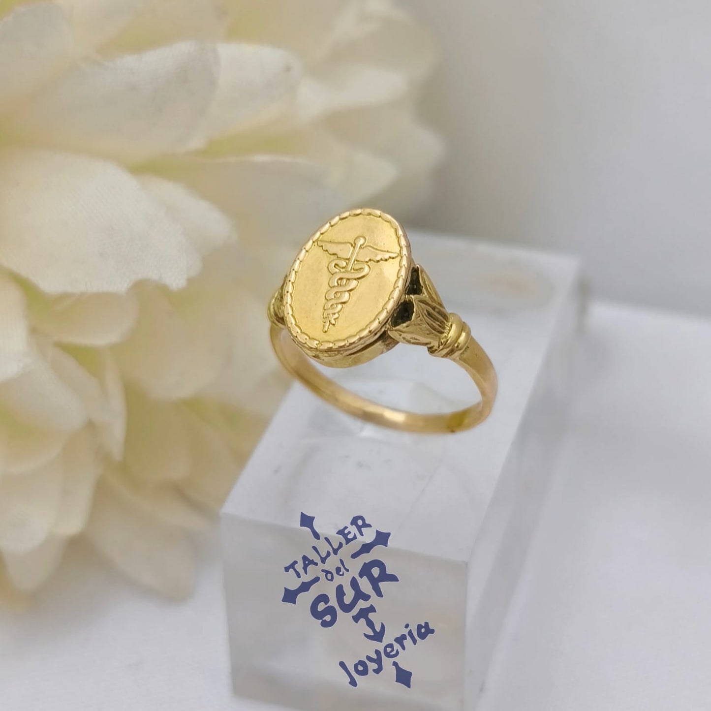 Anillos en Oro de Profesión