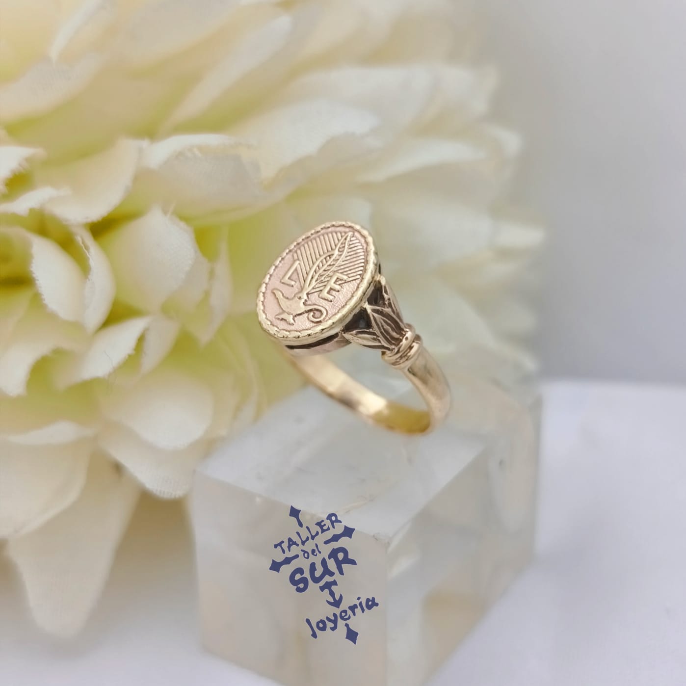 Anillos en Oro de Profesión