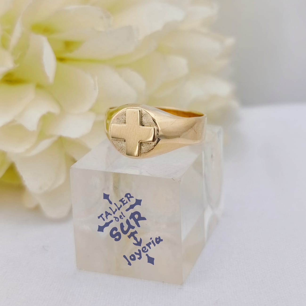 Anillos en Oro de Profesión