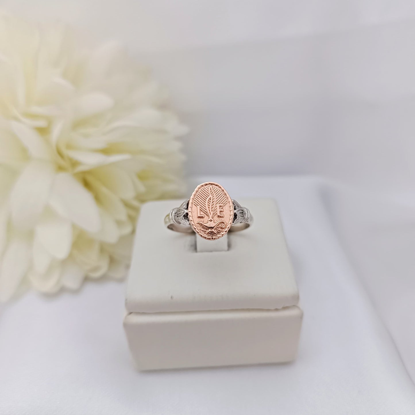 Anillos Profesión Licenciada en Enfermería