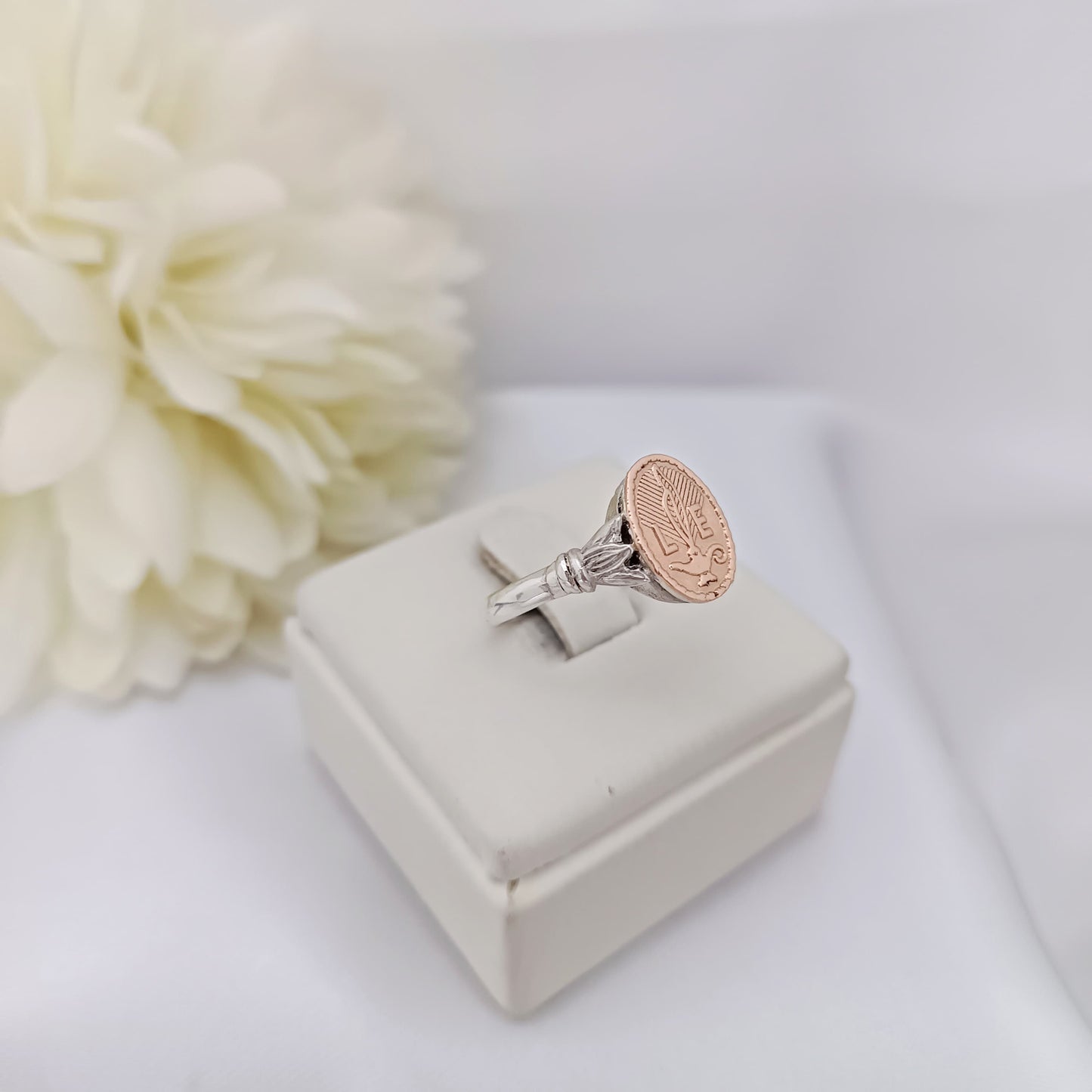 Anillos Profesión Licenciada en Enfermería