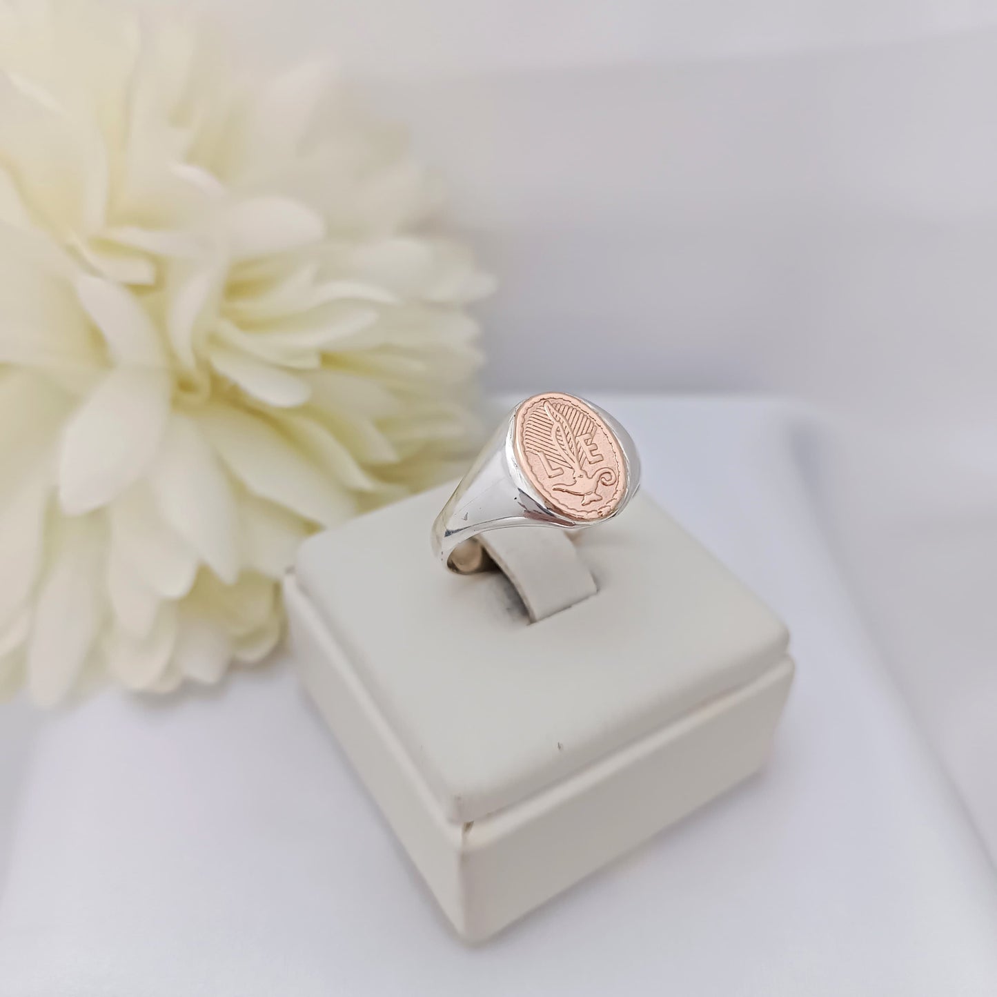 Anillos Profesión Licenciada en Enfermería