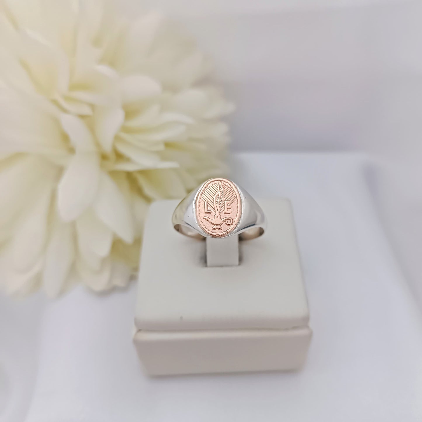 Anillos Profesión Licenciada en Enfermería