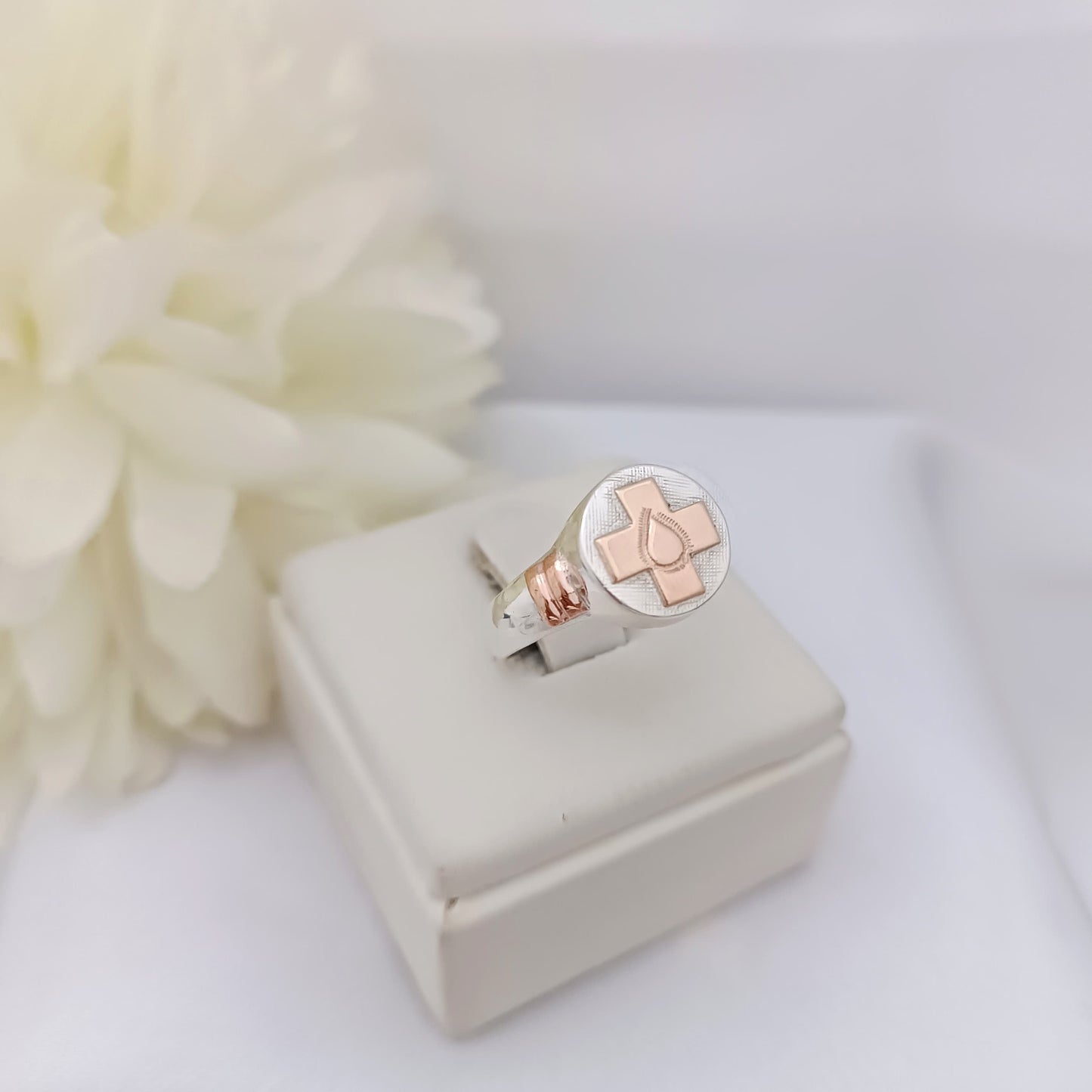 Anillos Profesión Auxiliar de Servicio