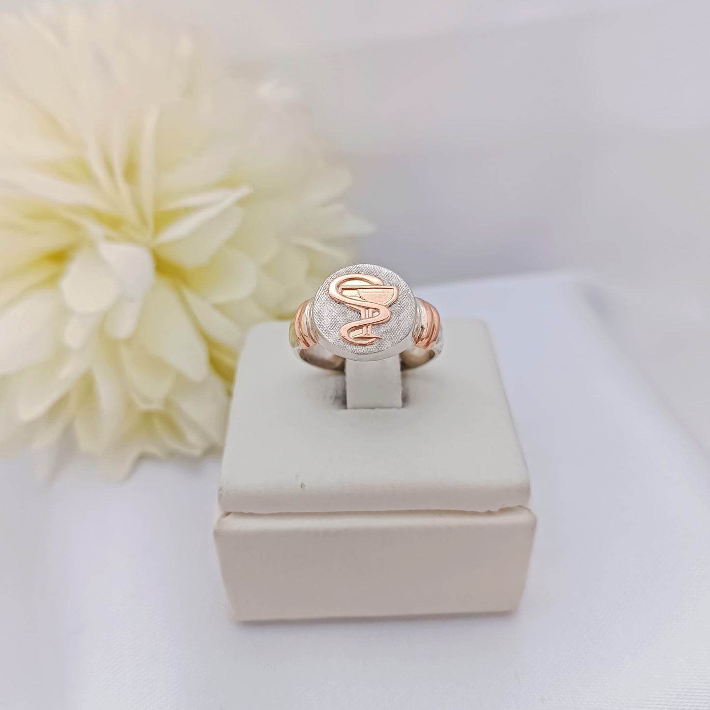 Anillos Profesión Farmacéutico