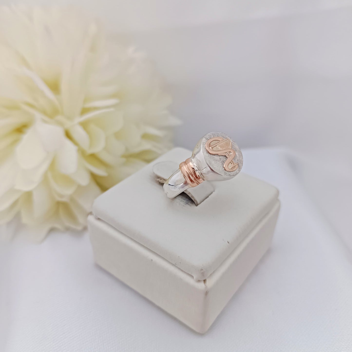 Anillos Profesión Farmacéutico