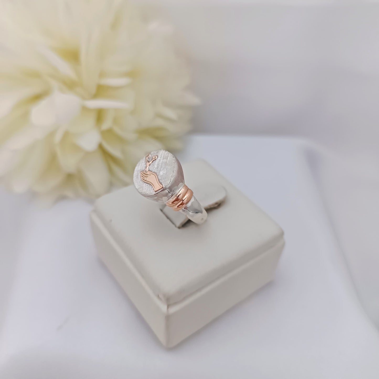 Anillos Profesión Instrumentista