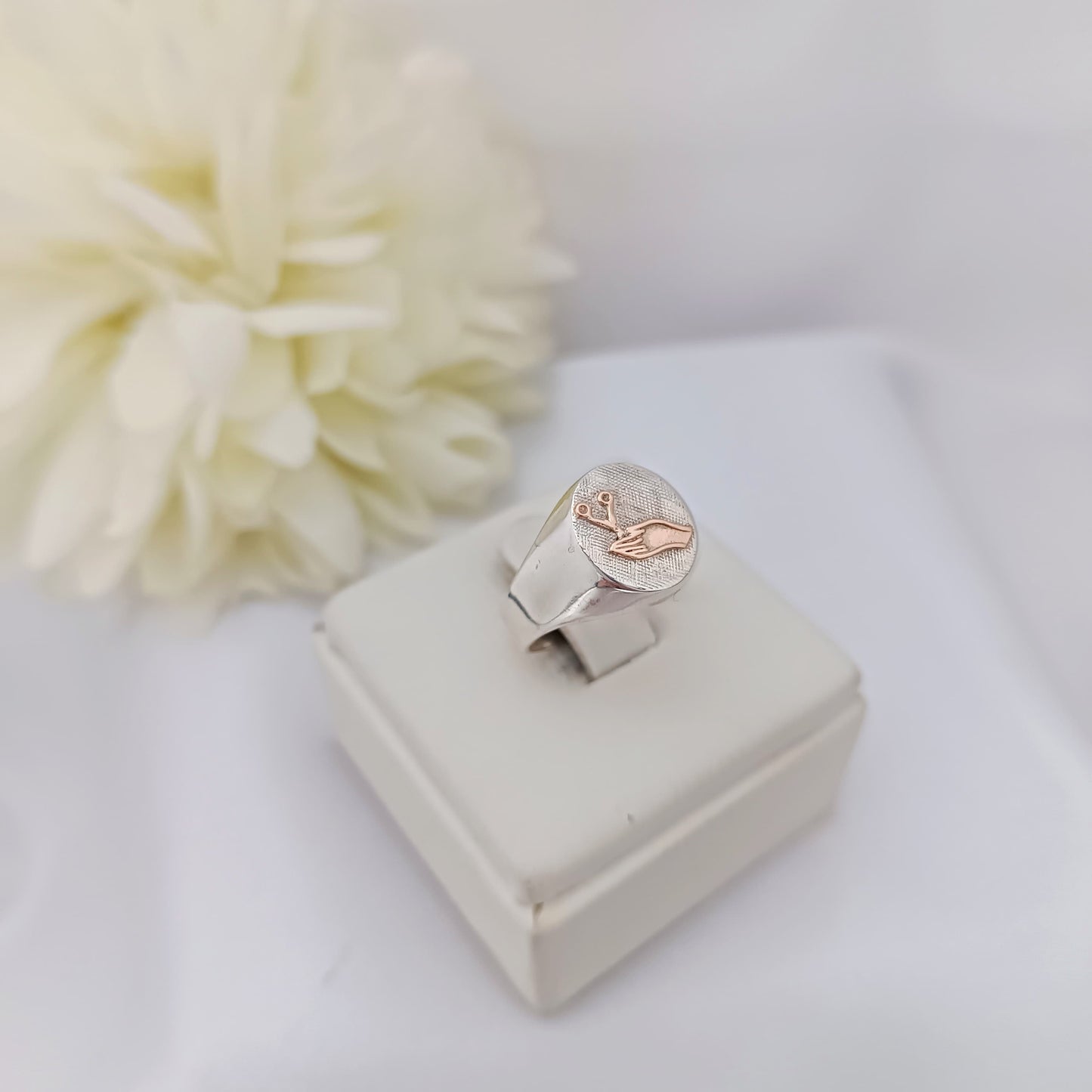 Anillos Profesión Instrumentista