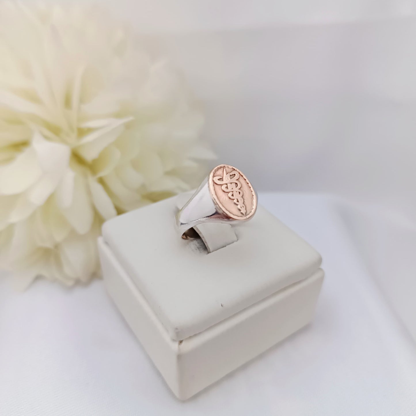 Anillos Profesión Fisioterapia
