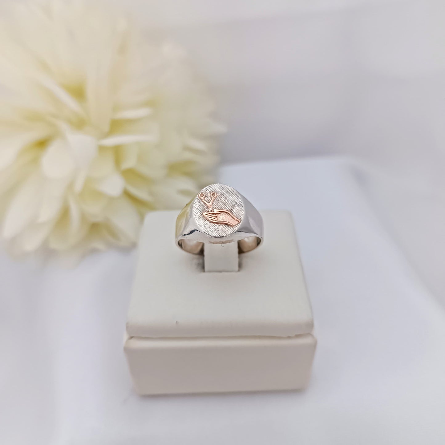 Anillos Profesión Instrumentista