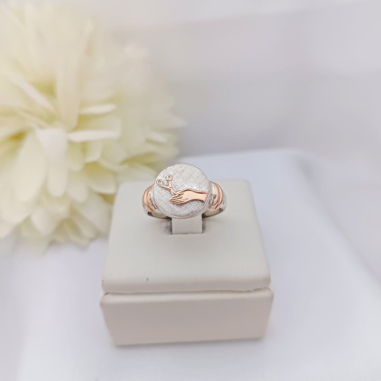 Anillos Profesión Instrumentista