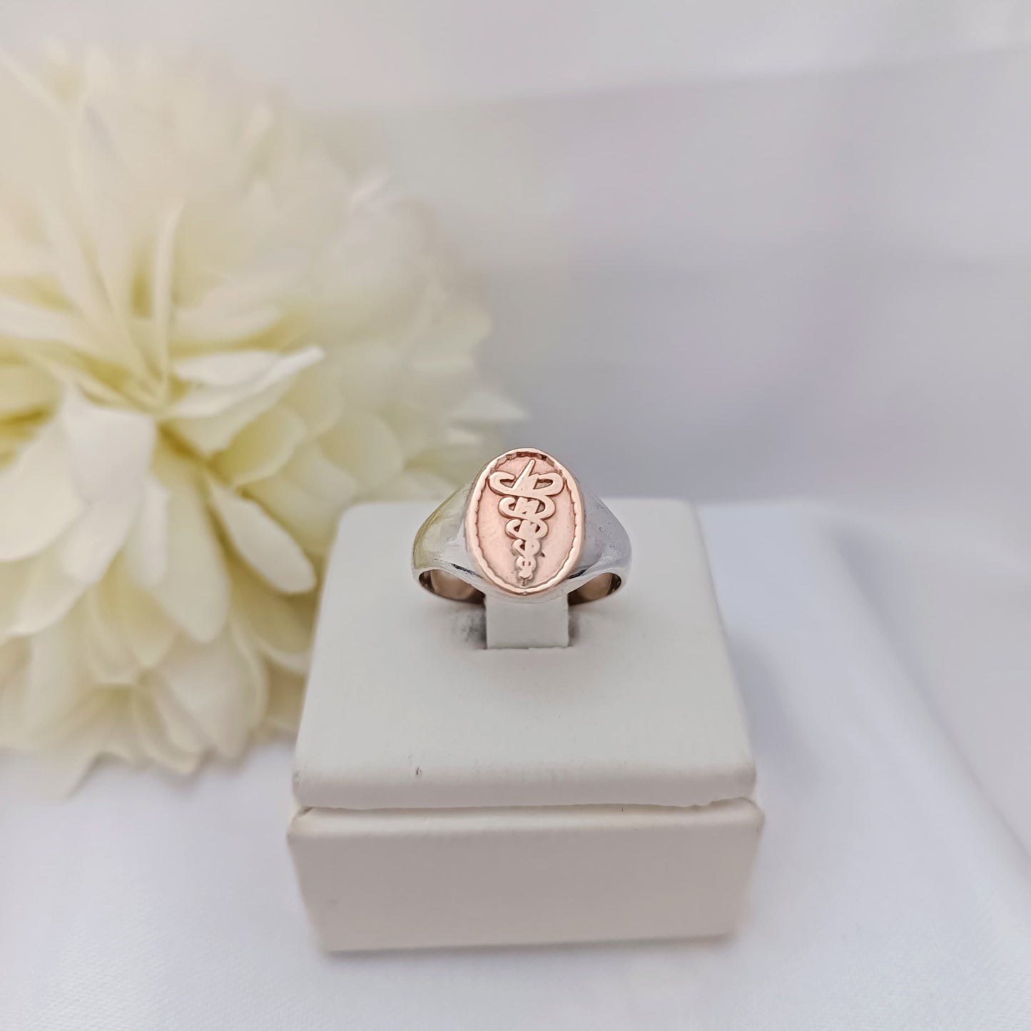Anillos Profesión Fisioterapia