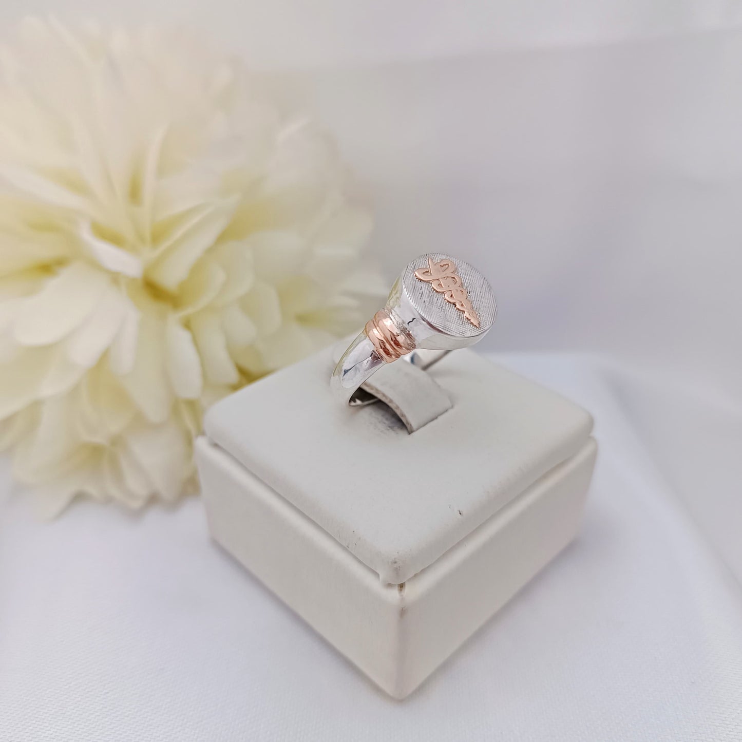 Anillos Profesión Fisioterapia