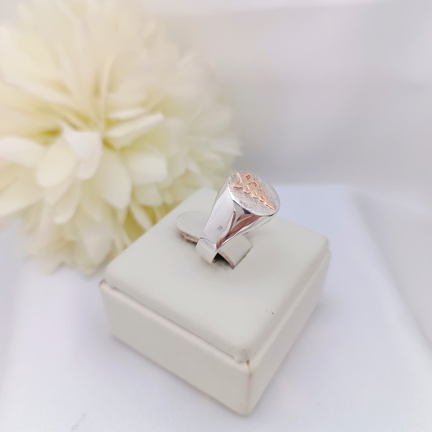 Anillos Profesión Fisioterapia