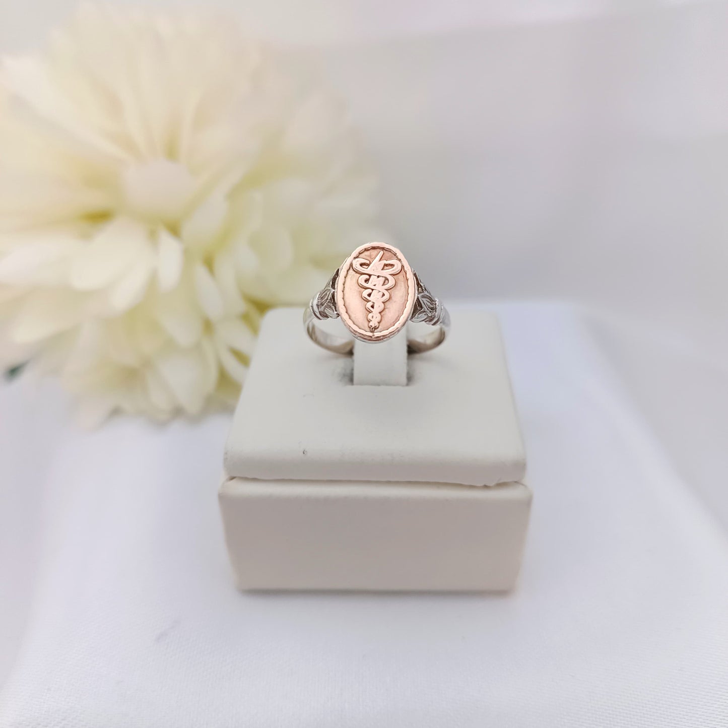 Anillos Profesión Fisioterapia