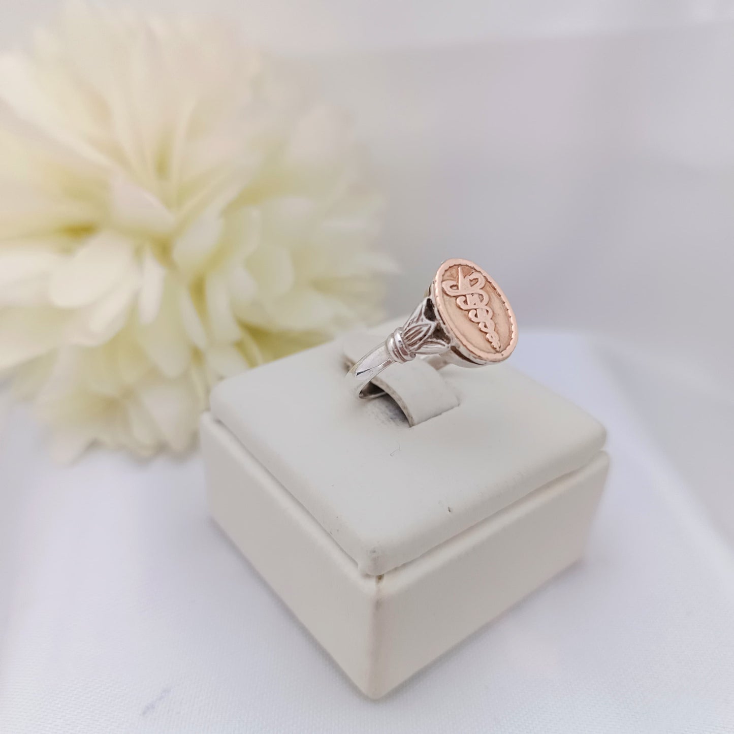 Anillos Profesión Fisioterapia
