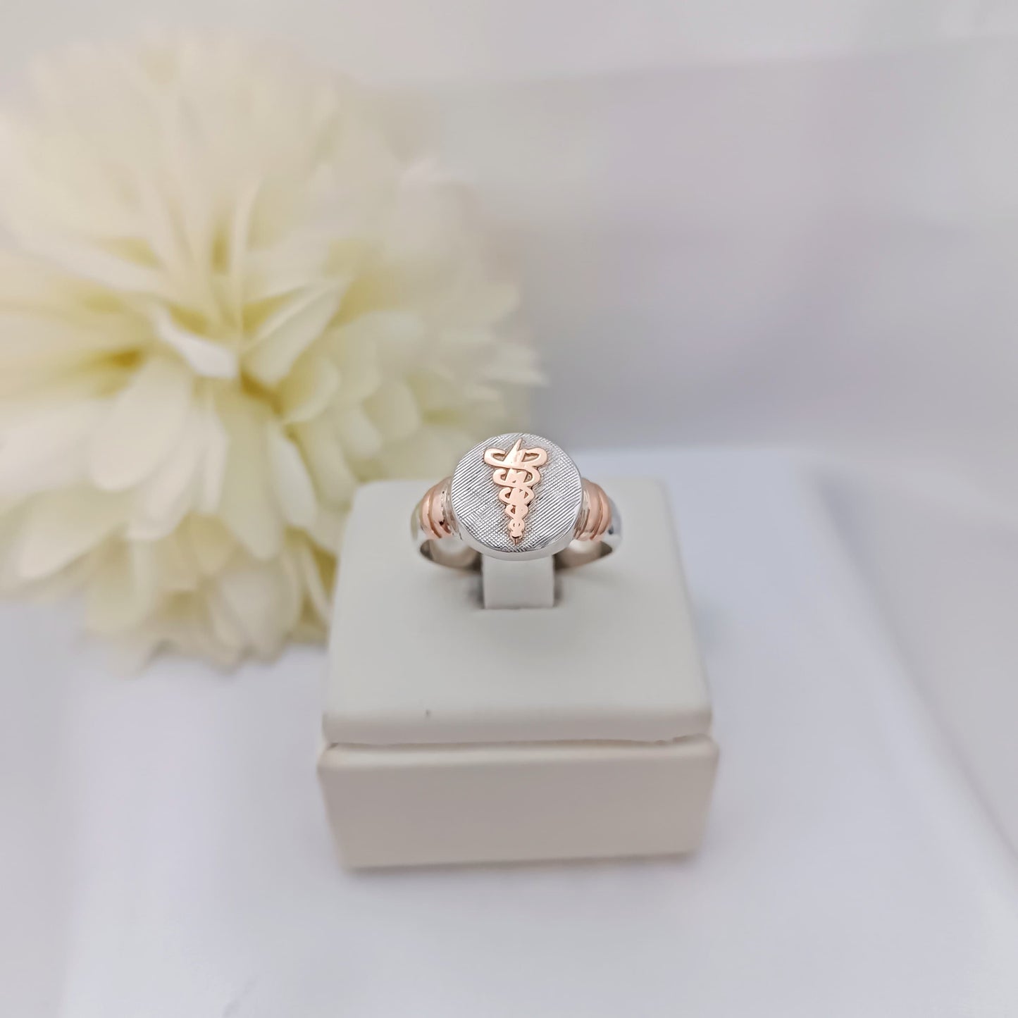 Anillos Profesión Fisioterapia