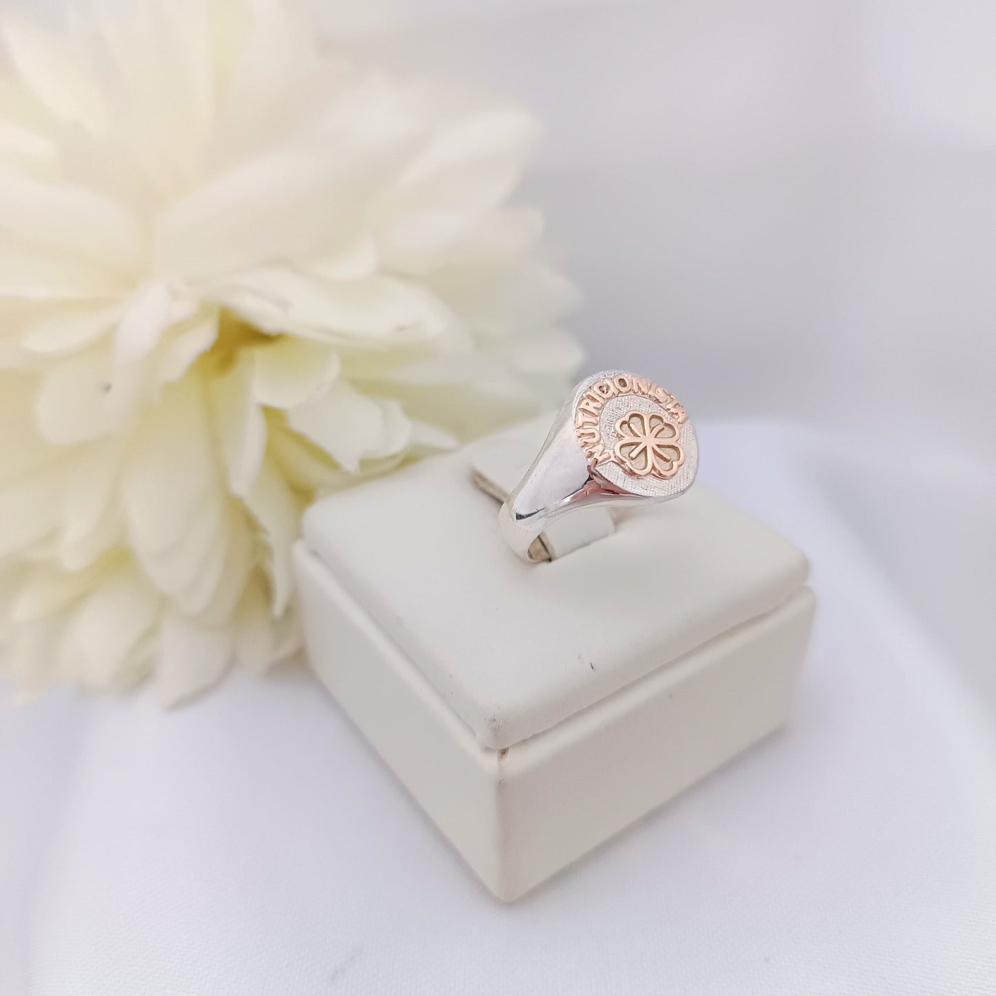 Anillos Profesión Nutricionista