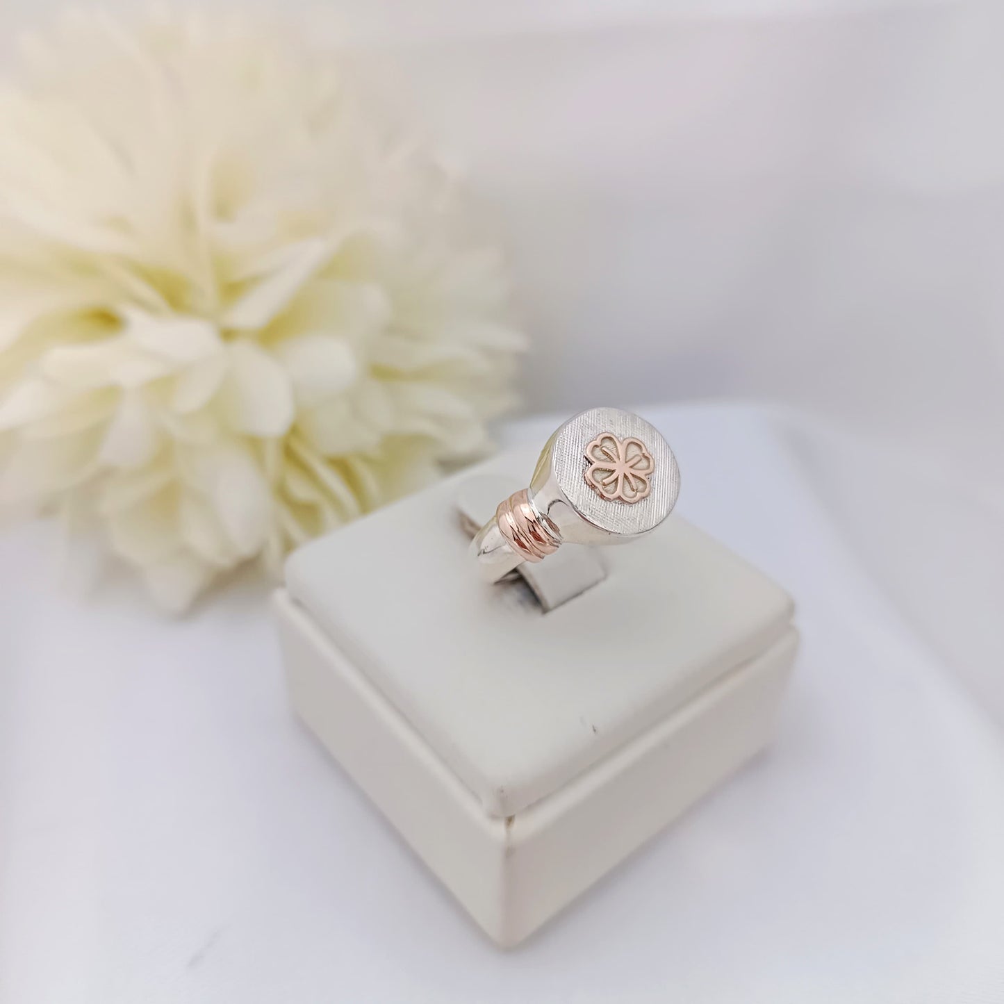 Anillos Profesión Nutricionista