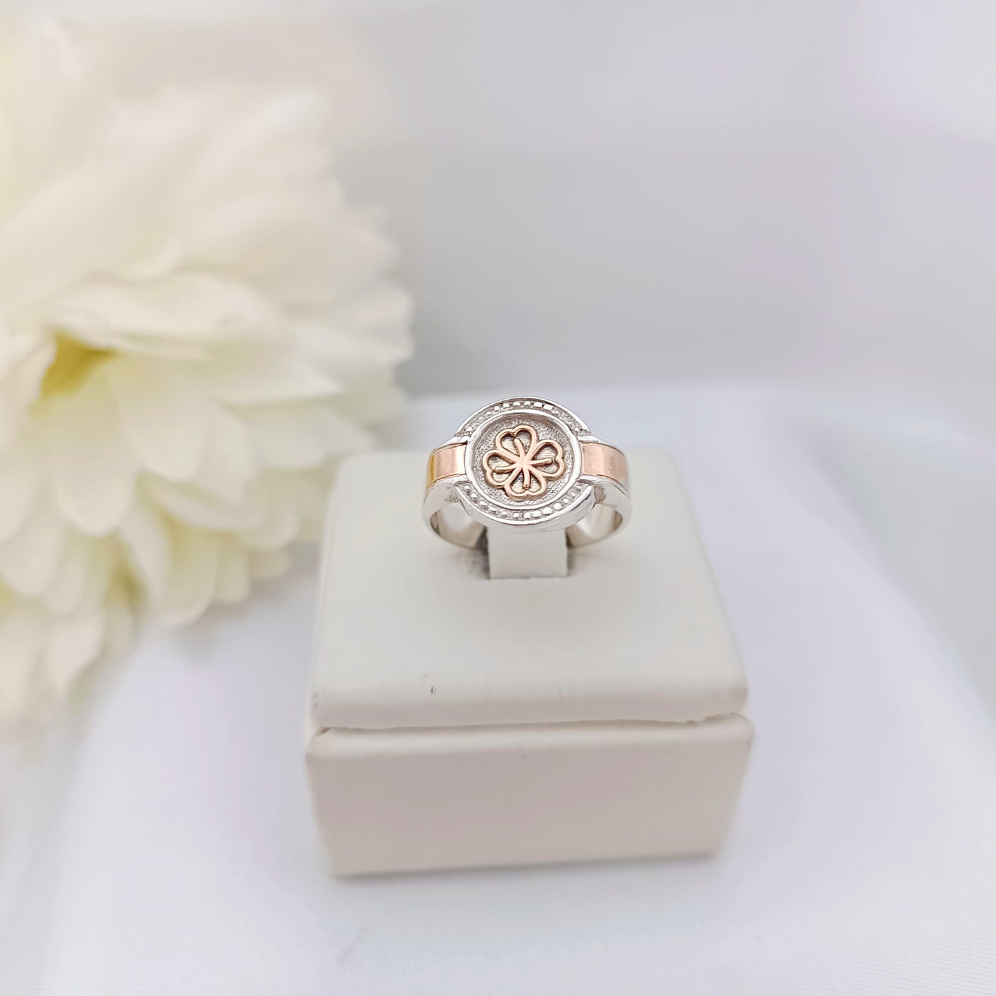 Anillos Profesión Nutricionista