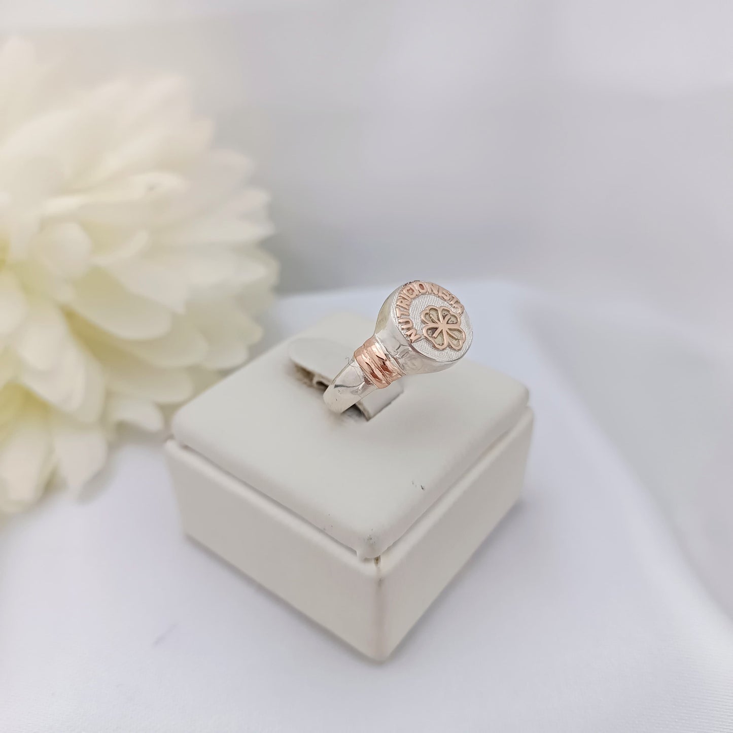 Anillos Profesión Nutricionista
