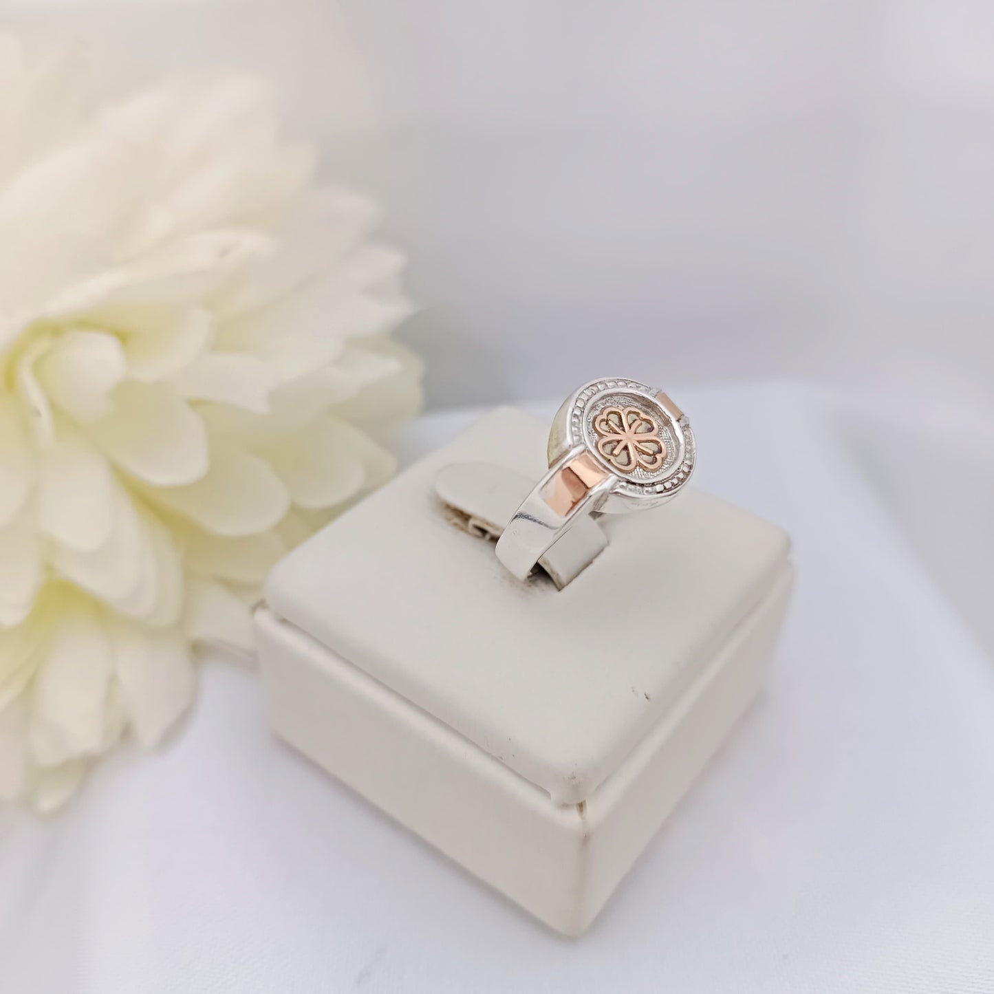 Anillos Profesión Nutricionista