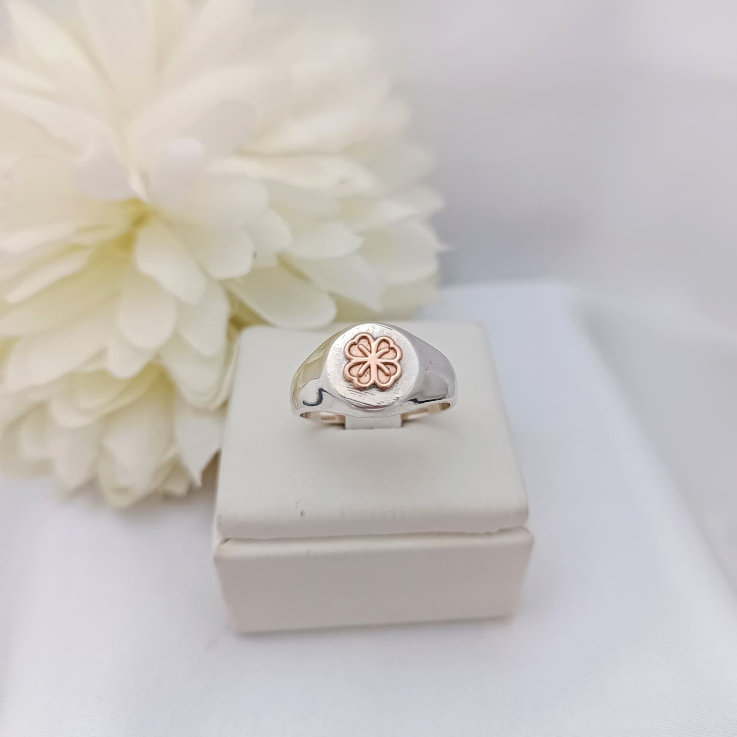 Anillos Profesión Nutricionista