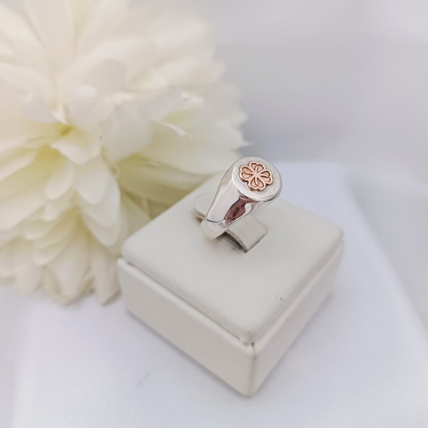 Anillos Profesión Nutricionista