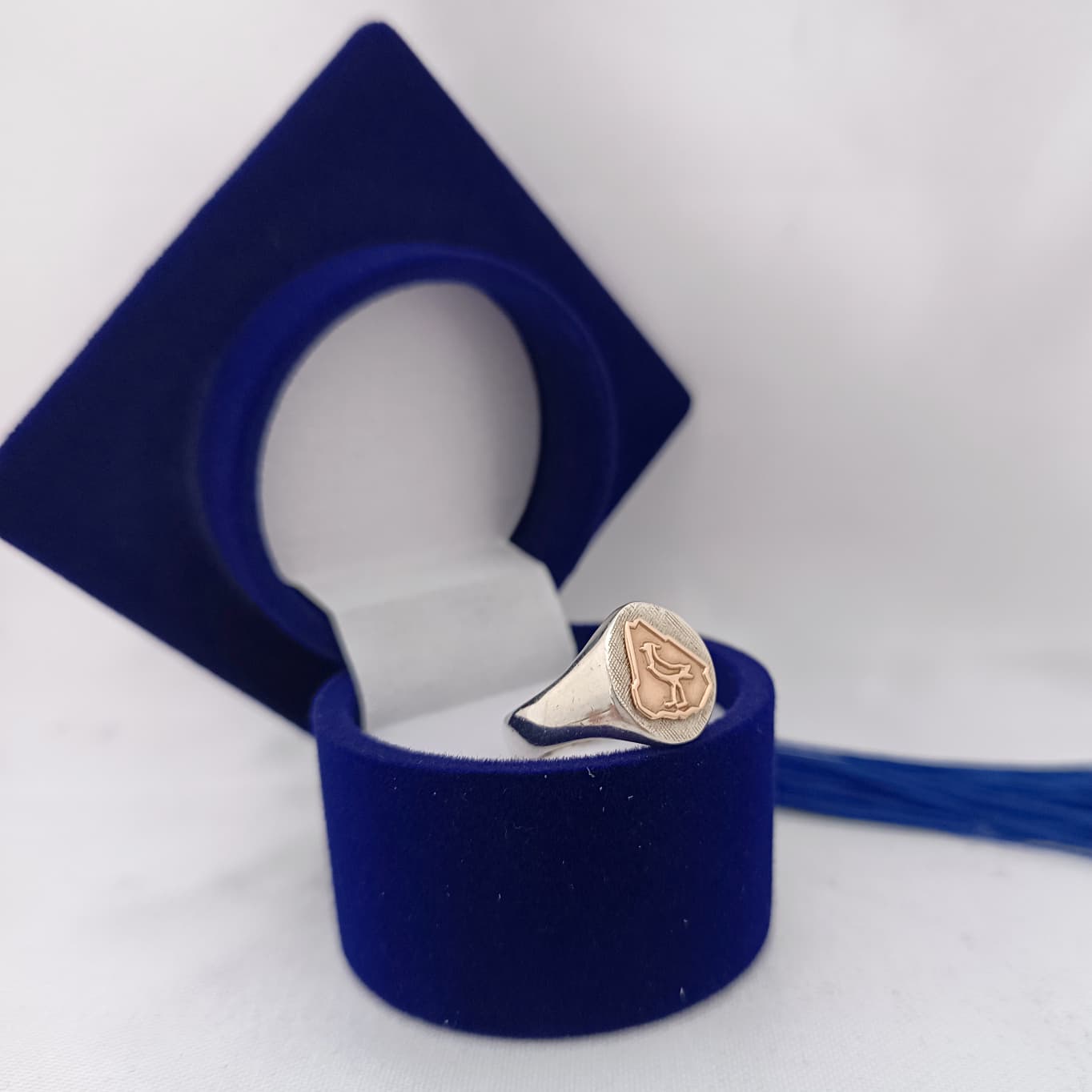 Anillos Profesión Ingeniero Agrónomo