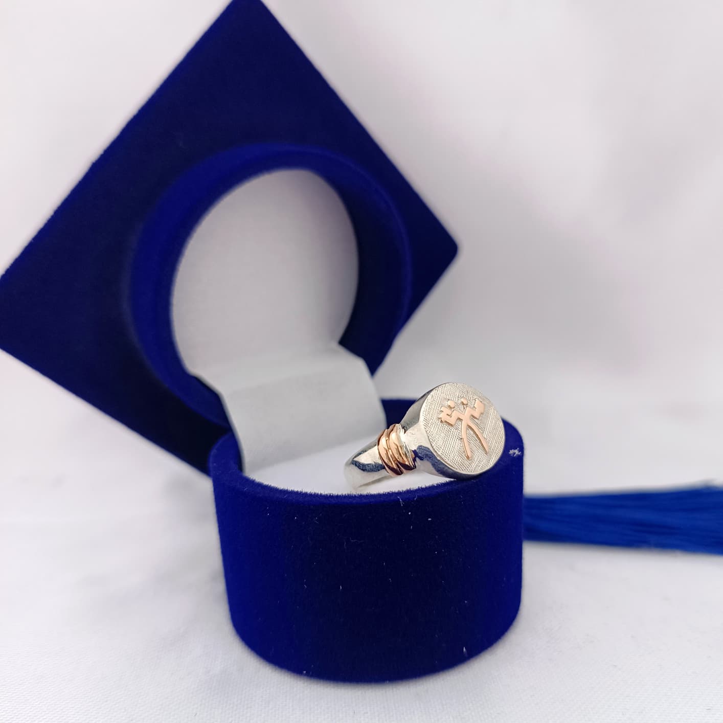 Anillos Profesión Administración
