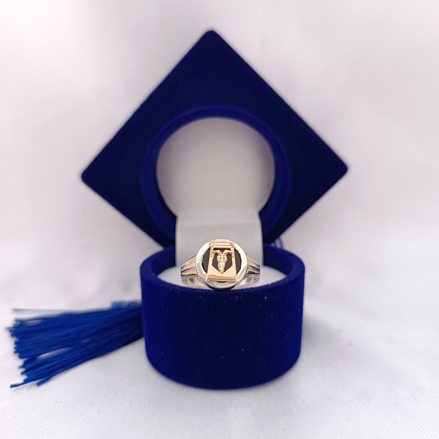 Anillos Profesión Contador