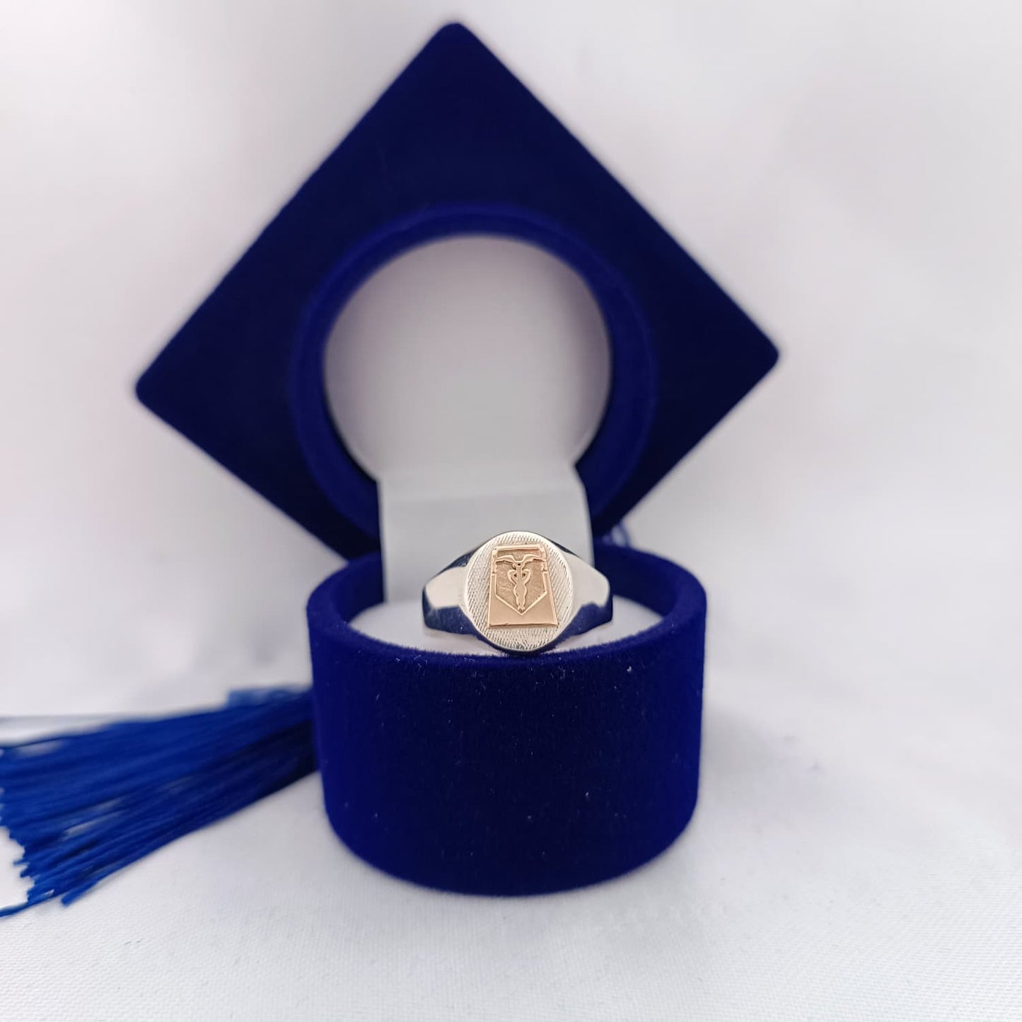 Anillos Profesión Contador