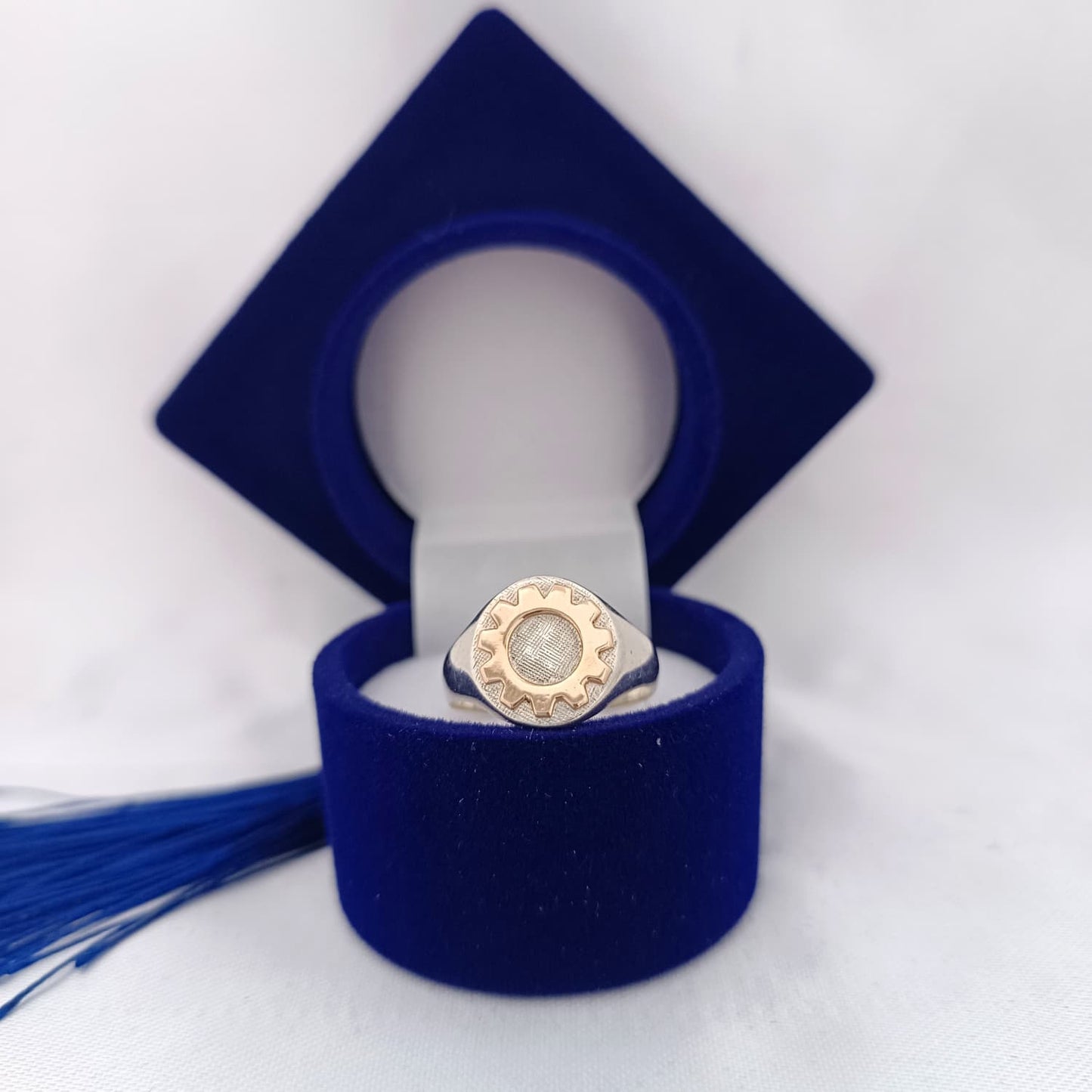 Anillos Profesión
