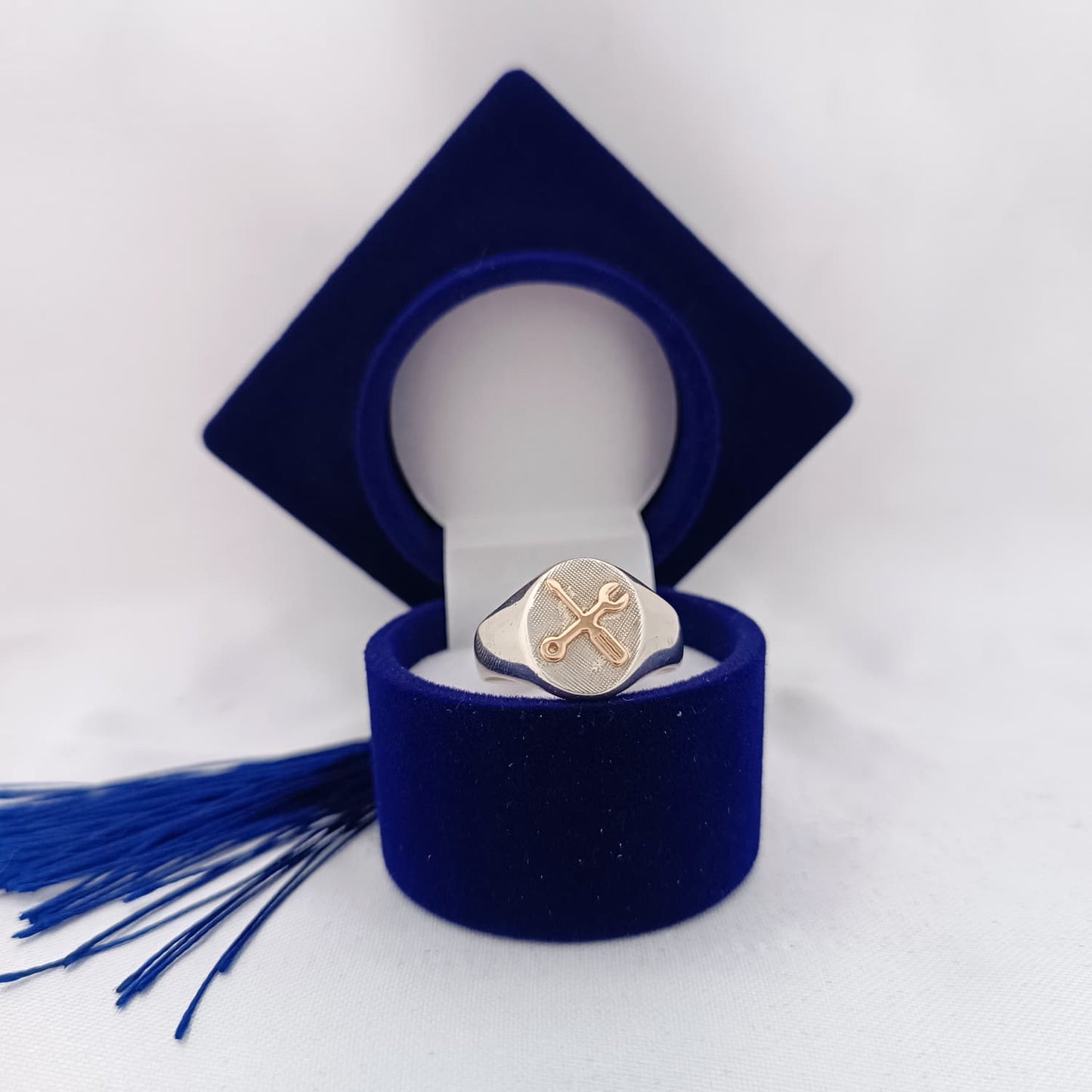 Anillos Profesión