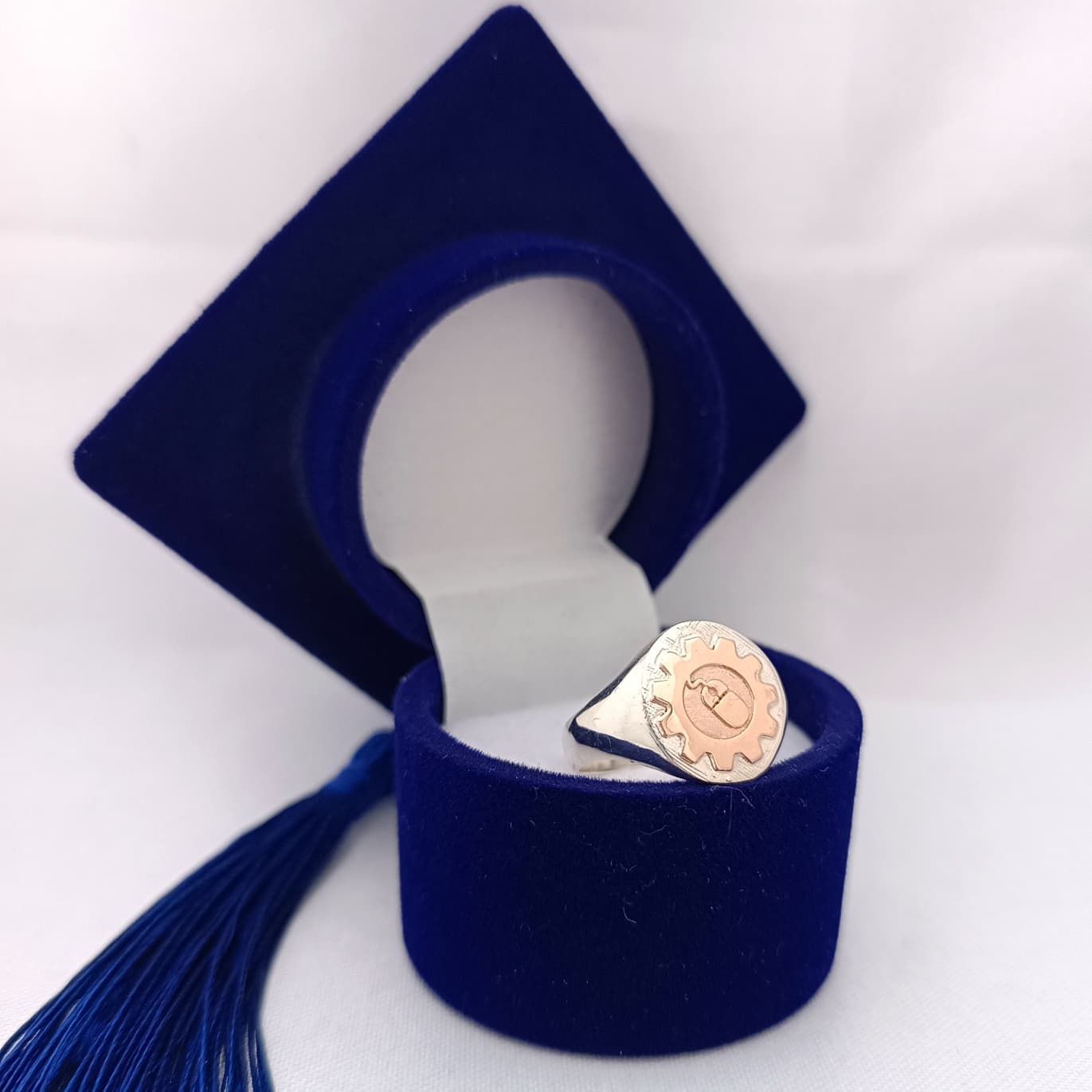 Anillos Profesión