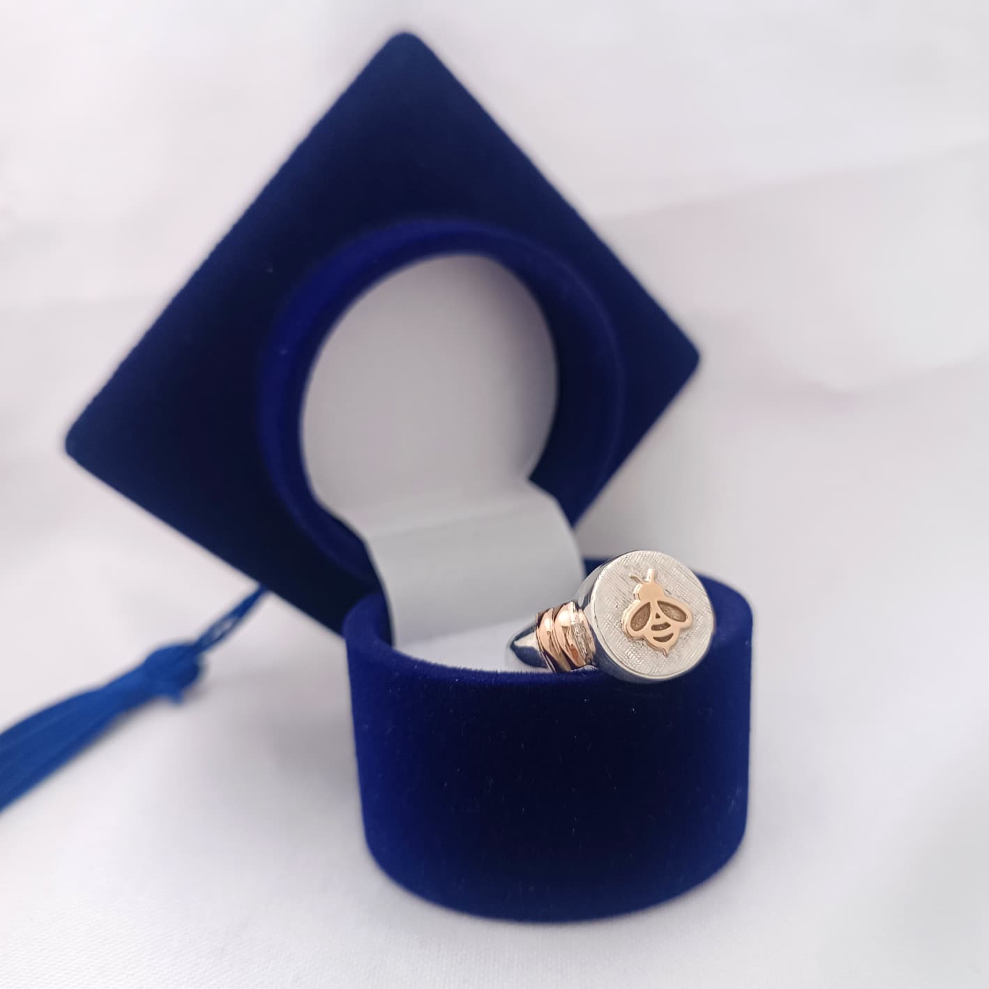 Anillos Profesión Maestra Logo Moderno