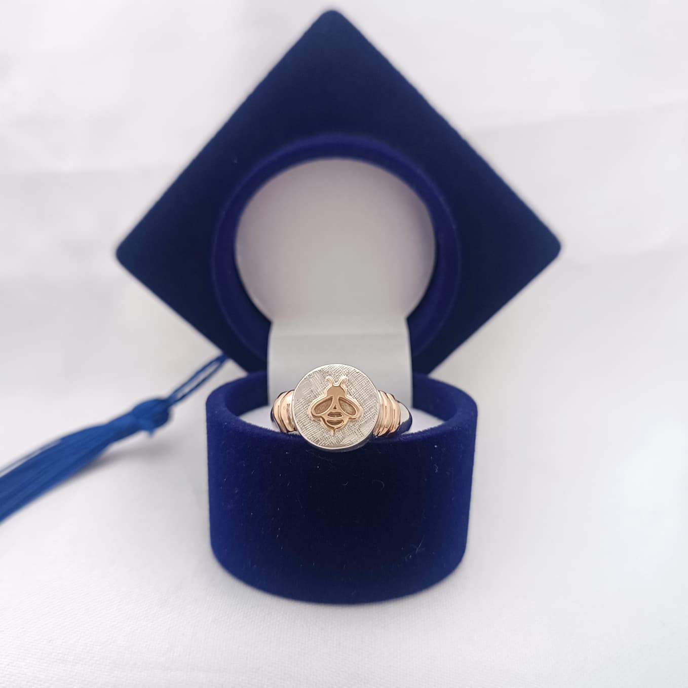Anillos Profesión Maestra Logo Moderno
