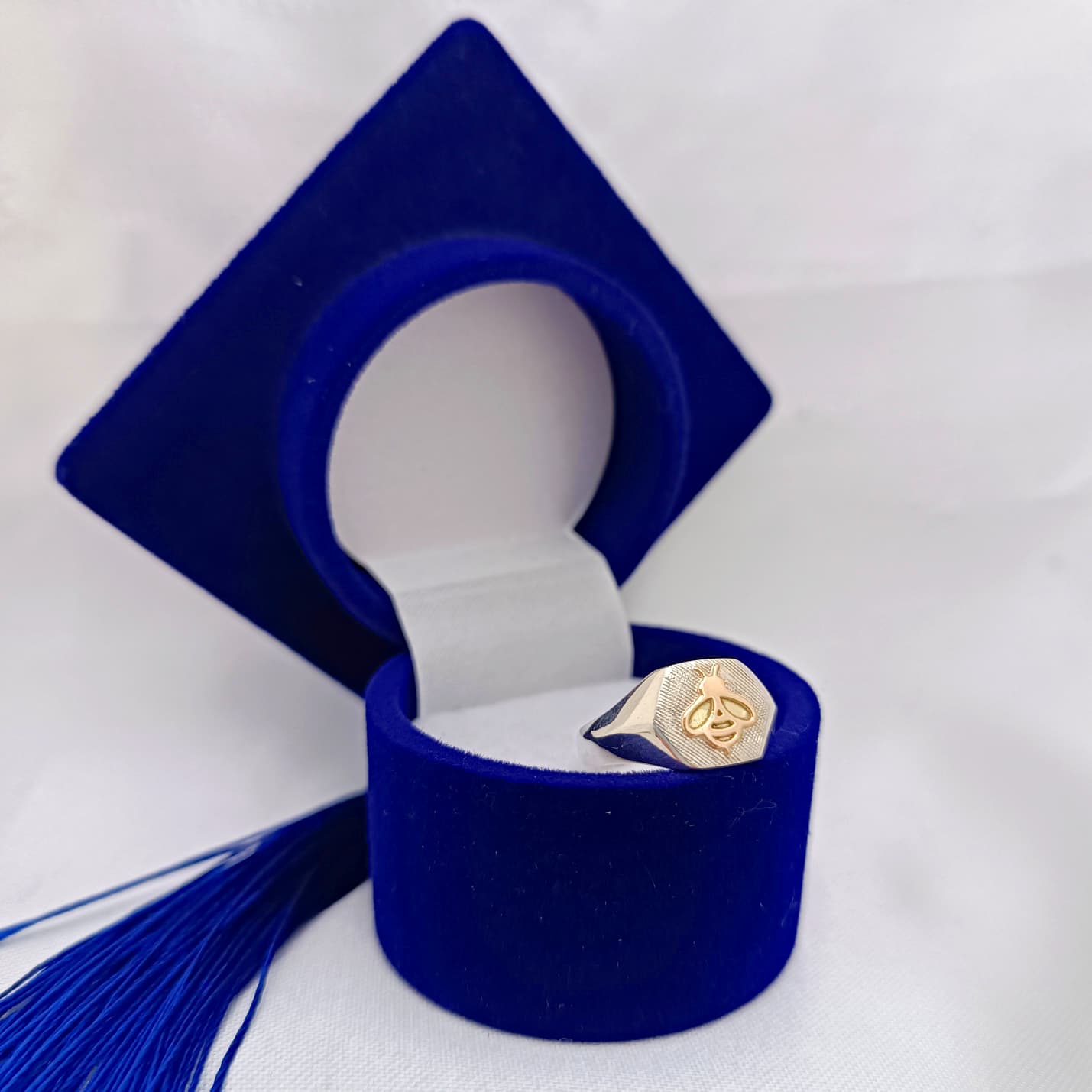 Anillos Profesión Maestra Logo Moderno